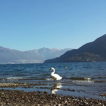 Casa Farfalla Сasa de vacaciones Cannobio