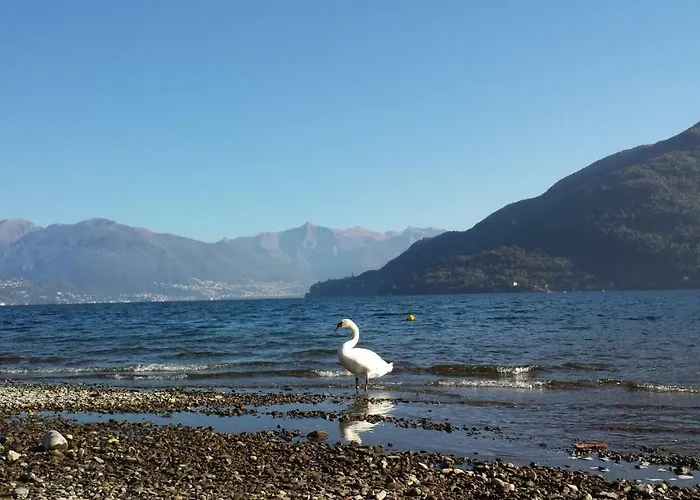 Casa Farfalla Hébergement de vacances Cannobio